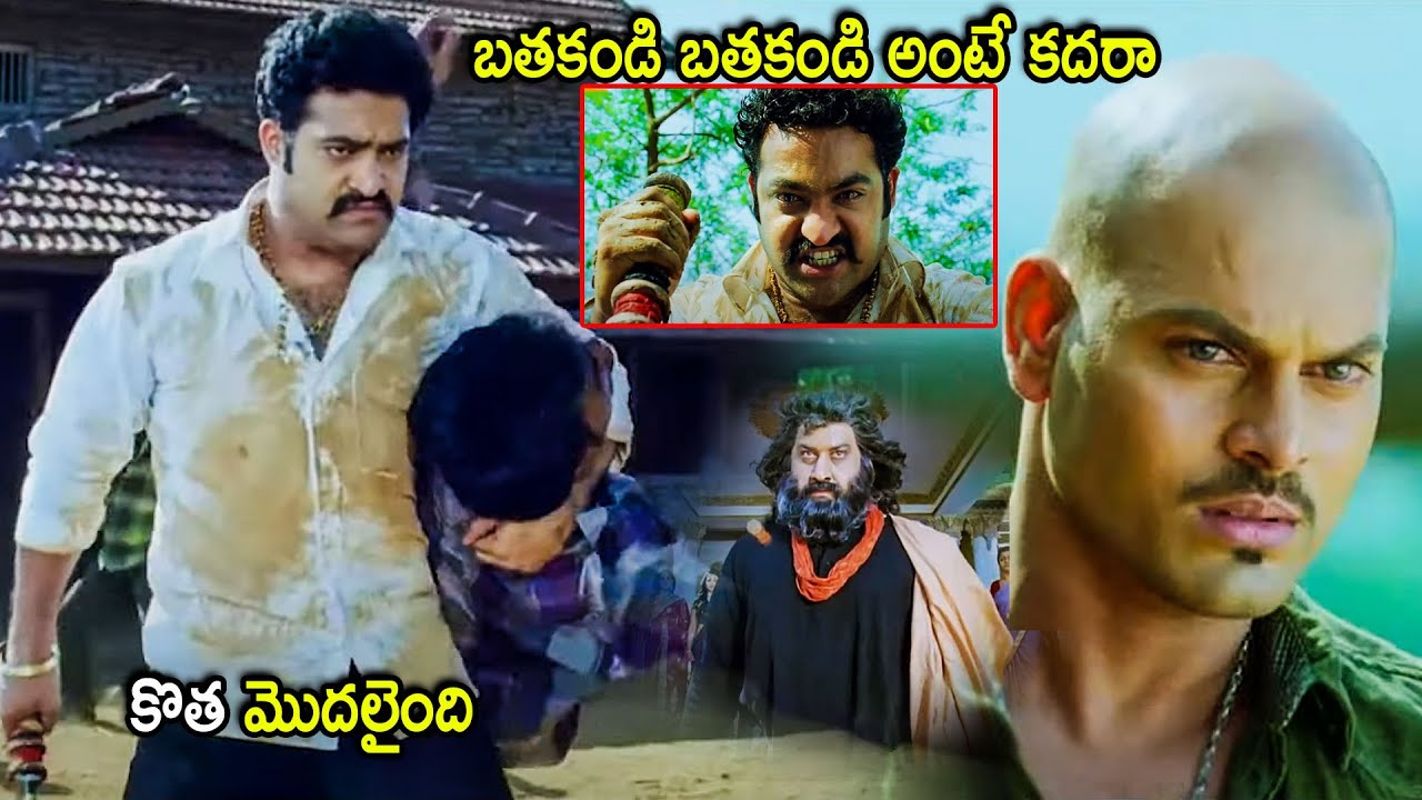 Suman & Jr Ntr Blockbuster Movie Powerful Action Scene | Telugu Movies | Cinema Chupistha