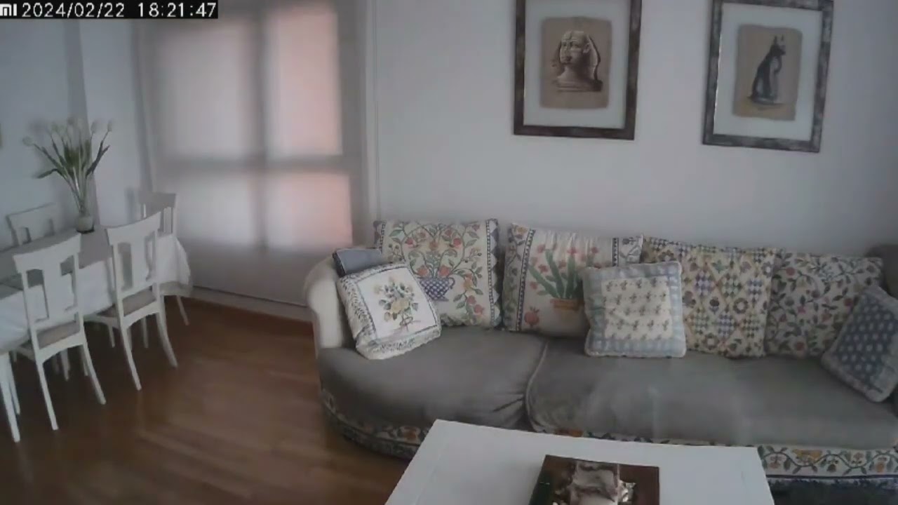 El incendio de Valencia desde dentro de una vivienda