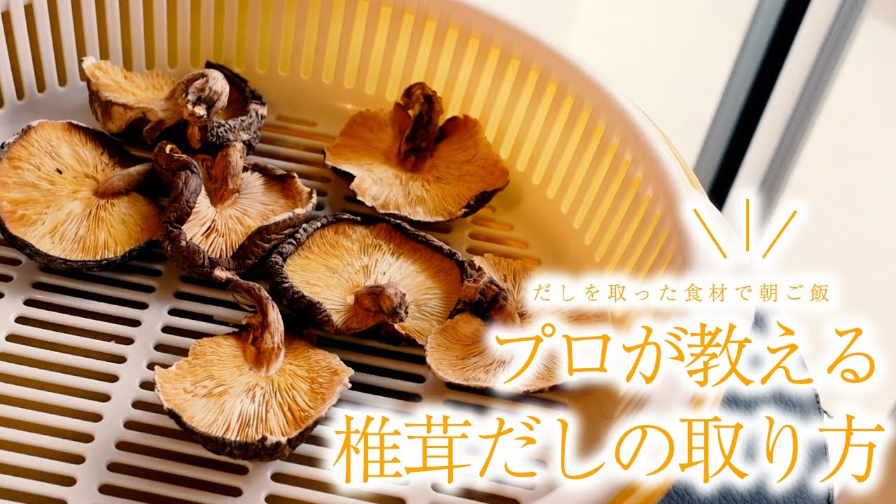 【きのこ専門店店長直伝！】干し椎茸のお出汁の取り方！出涸らしの椎茸と昆布を活用した無駄のないレシピも解説！【味噌汁・佃煮】
