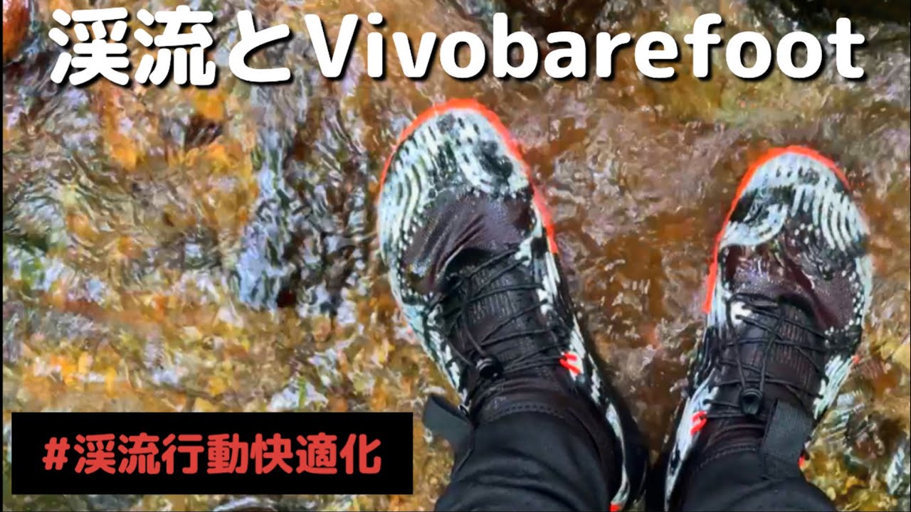 渓流とVivobarefoot