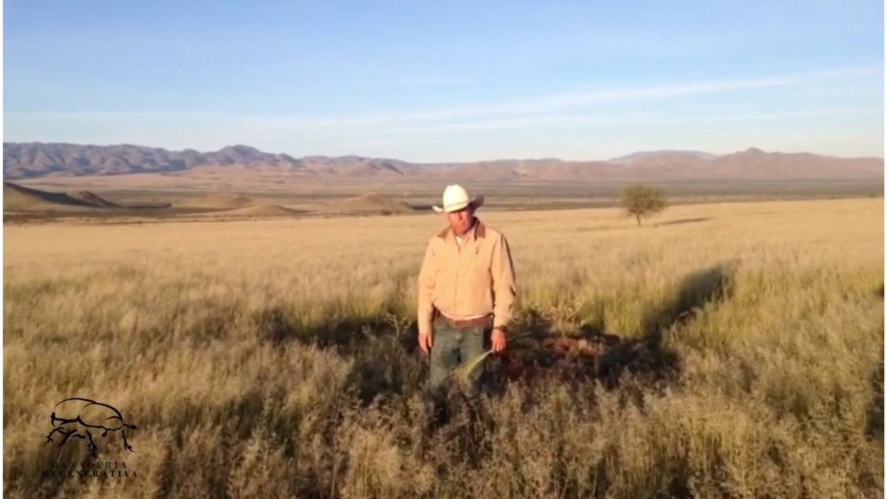 Degradacion de pradera por Pastoreo Selectivo