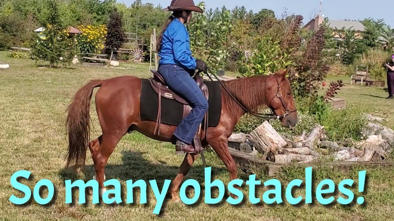 Happy Trails Horse Park- so many fun obstacles and challenges