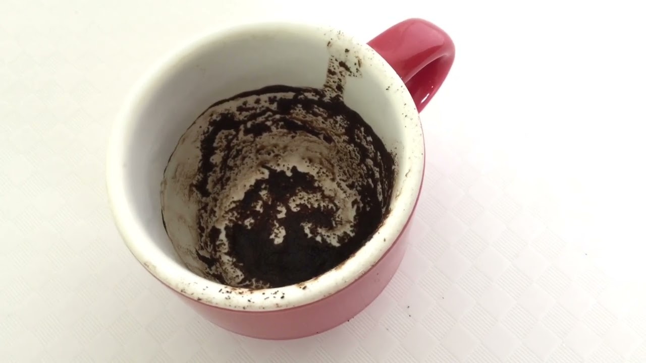 Leo June 26, 2023 Weekly Coffee Cup Reading by Cognitive Universe