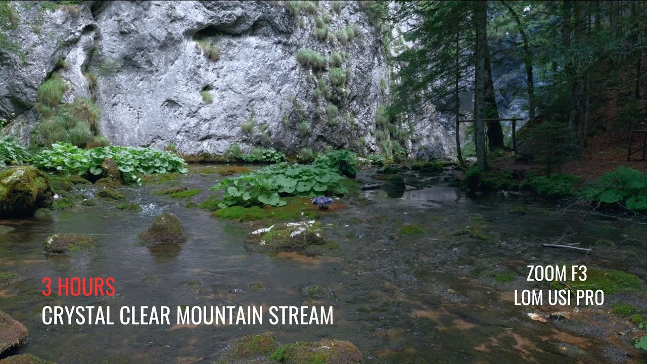 Stream Sounds Crystal Clear Mountain | Nature Sounds for Sleeping | 3 Hours Deep Relaxation