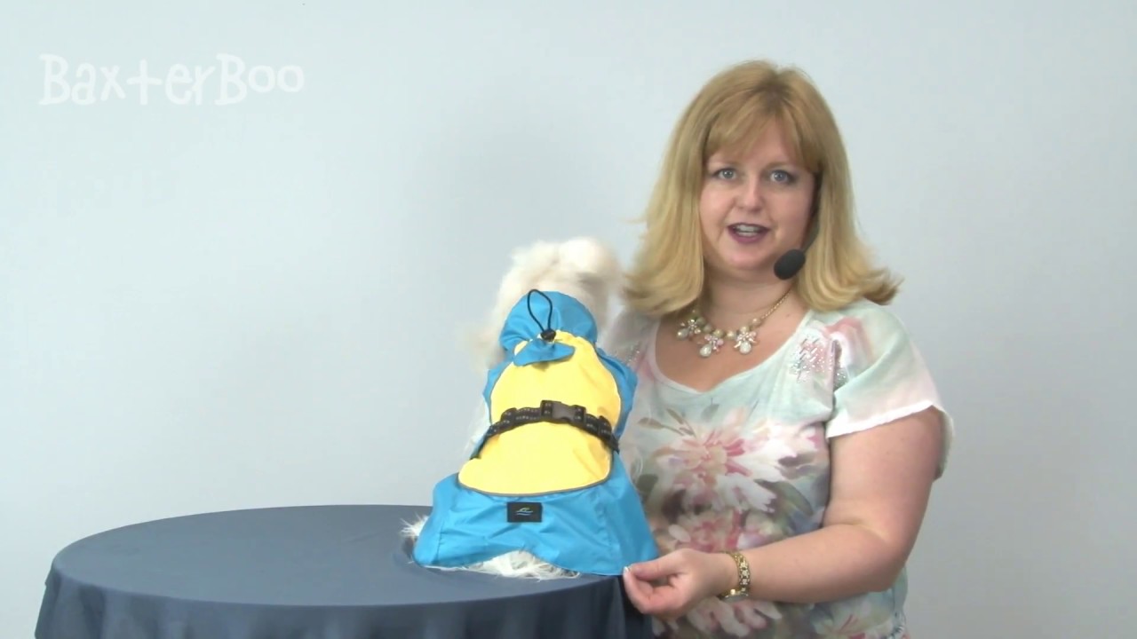 Dog Raincoat Body Wrap by Doggie Design - Blue and Yellow