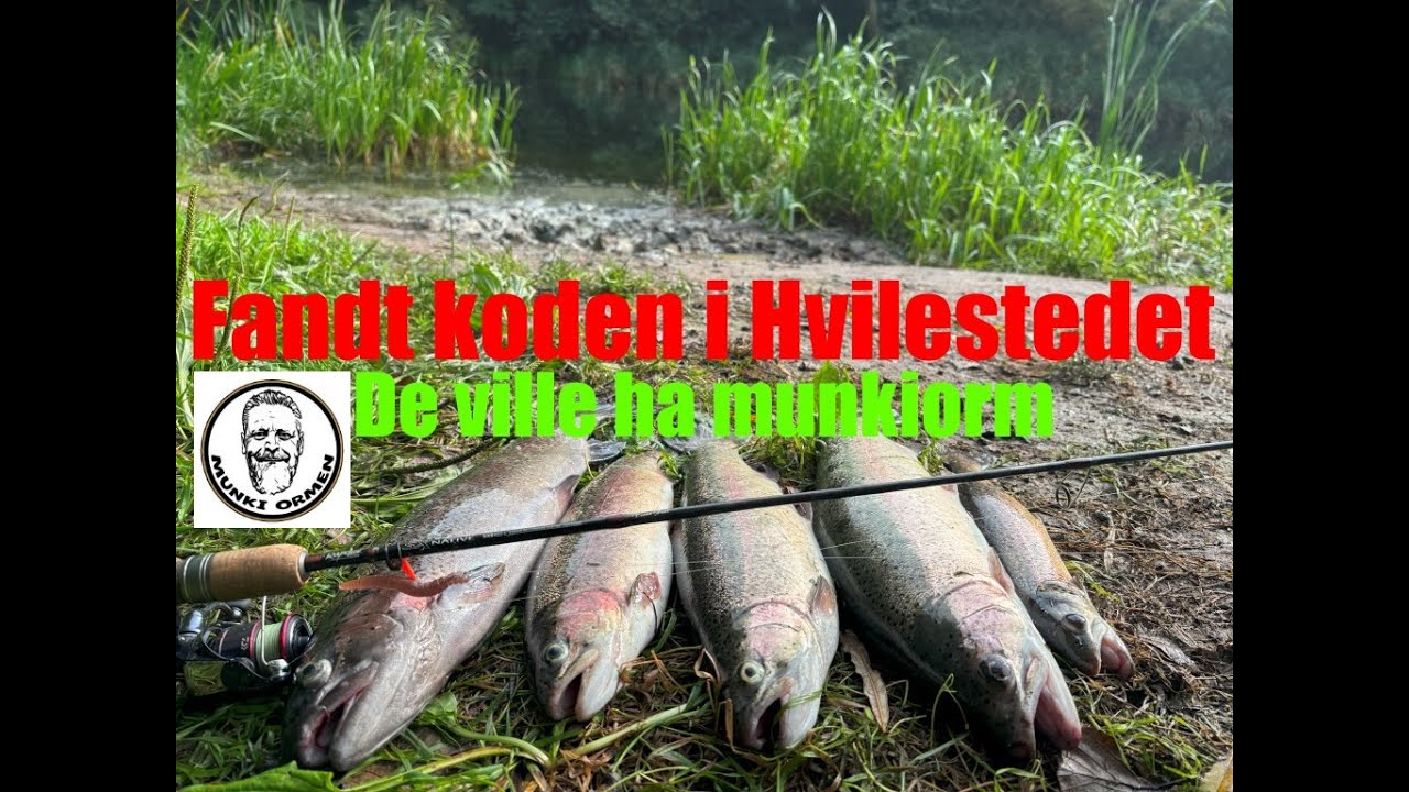 Munkien slog til i Hvilestedet