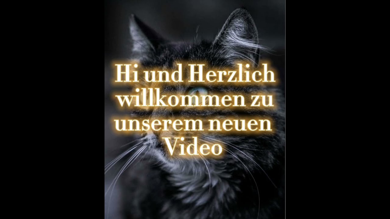 Warrior Cats Namensgenerator