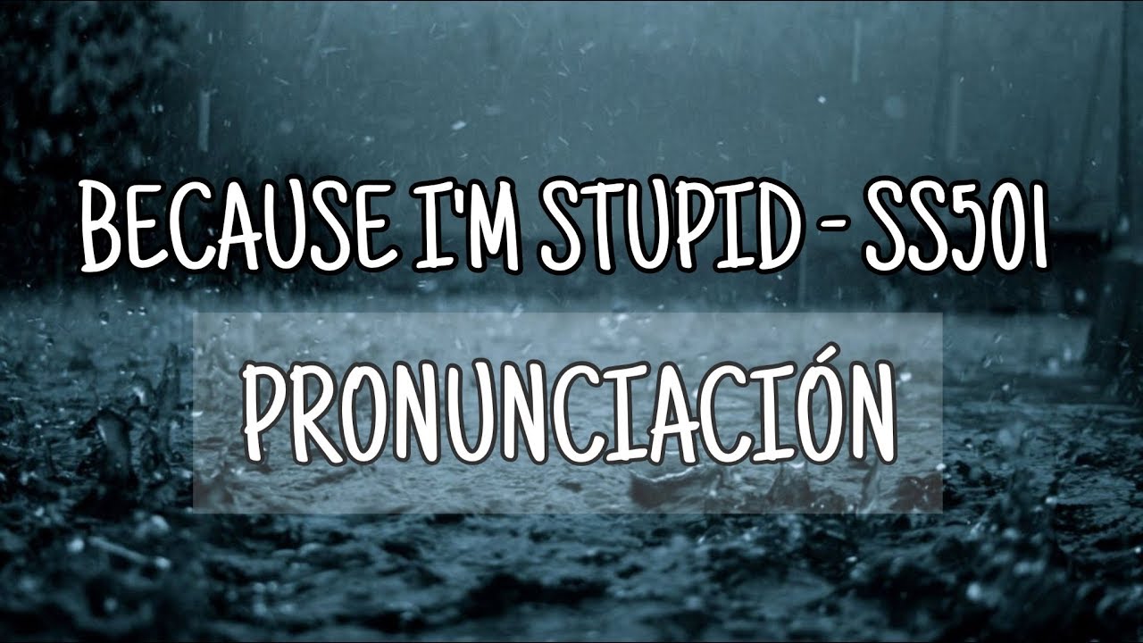 Because I’m Stupid - SS501 [Pronunciación] [Fácil]