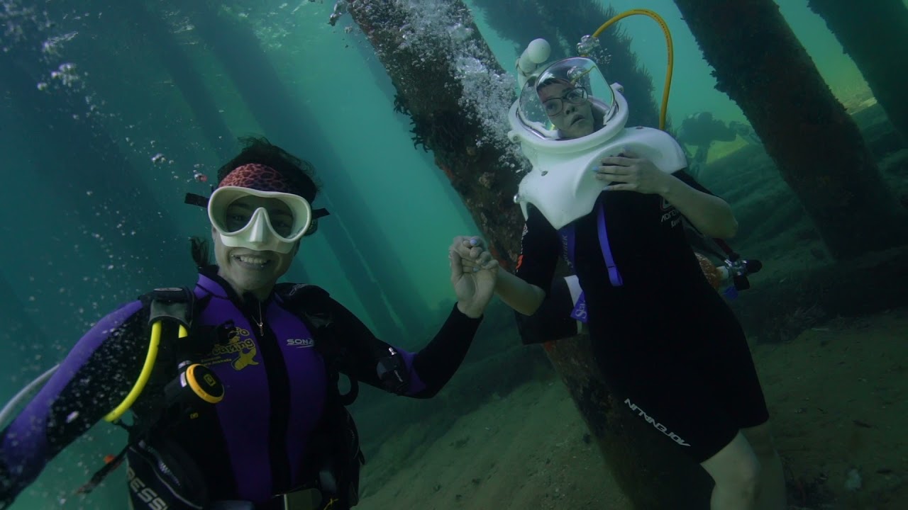Busselton Jetty Undersea Walk By SeaTrek | Dive Busselton Jetty