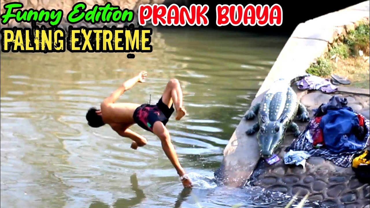 Funny Edition || Prank Buaya Paling Extreme || Bikin Ngakak Auto Nyemplung 🤣🤣