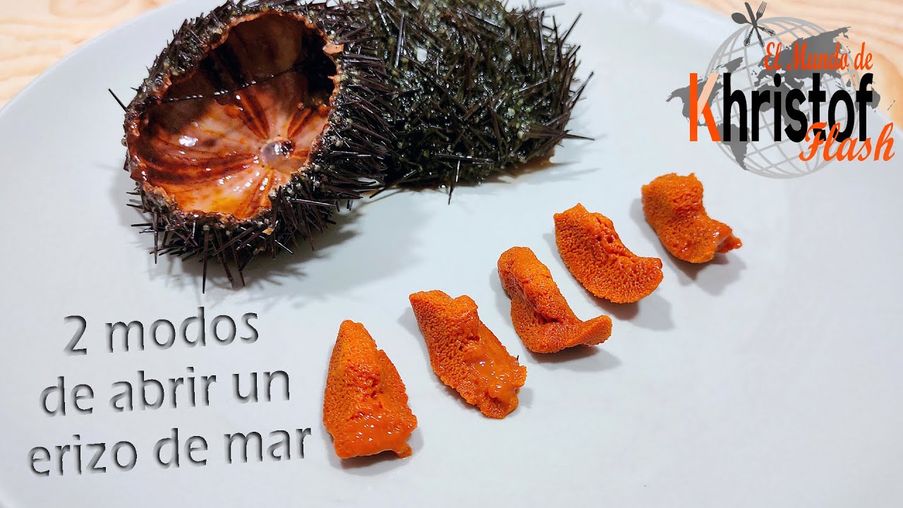 Cómo abrir un ERIZO DE MAR ✅2 MODOS muy FÁCILES✅