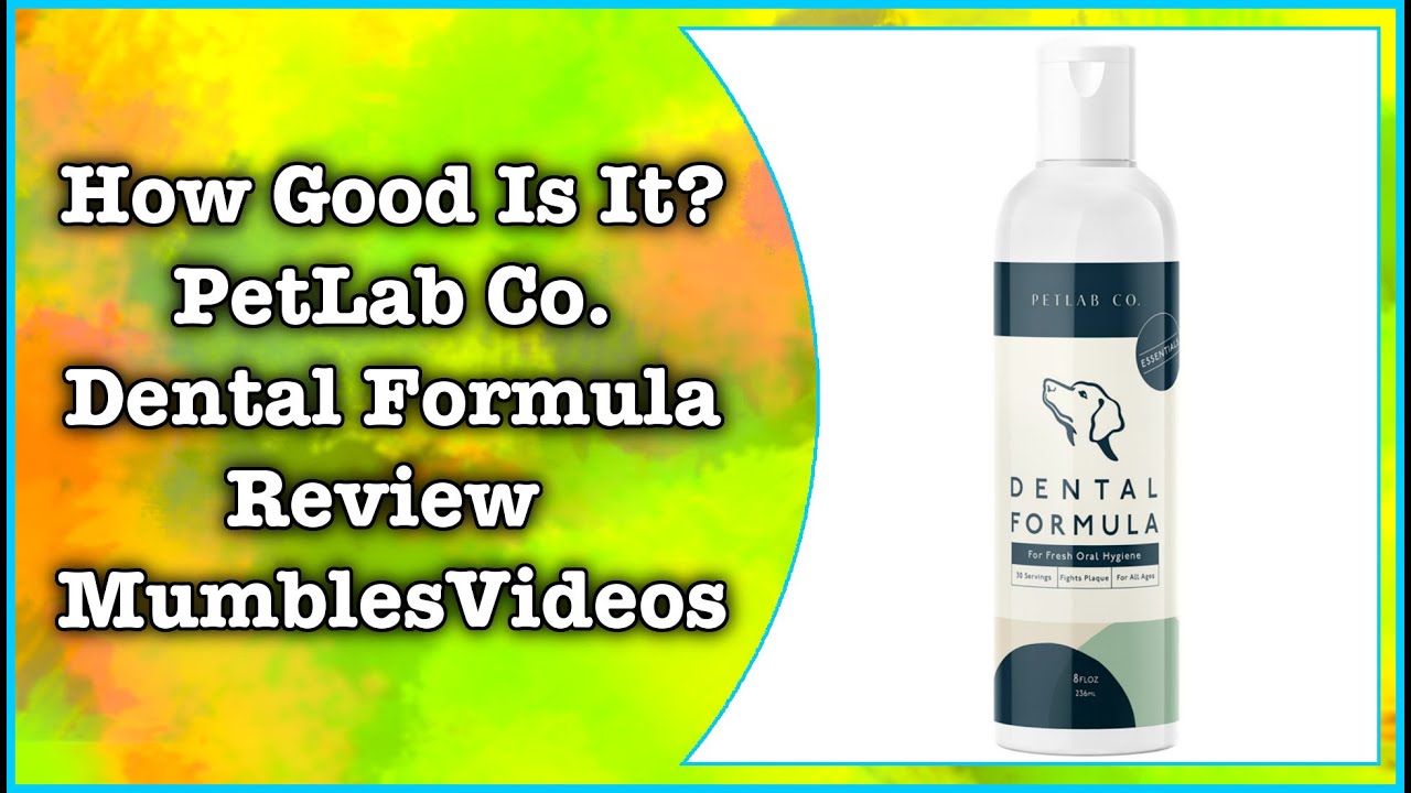 How Good Is It? Petlab Co. Dental Formula Review - MumblesVideos
