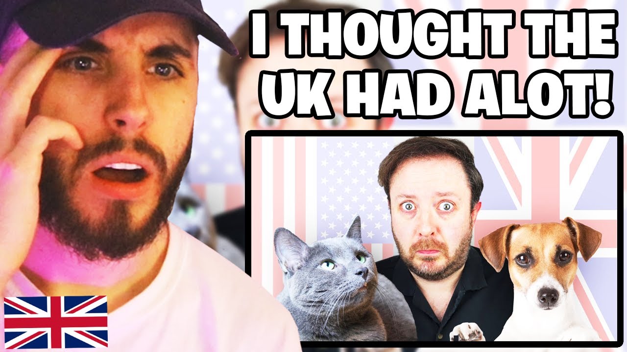 Brit Reacts to British Pet Culture Ain't Got Nothing on America