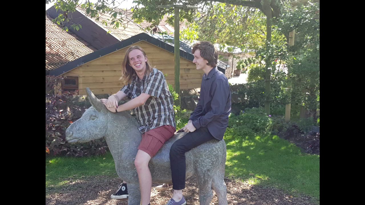 The Donkey Sanctuary - Devon Day #5