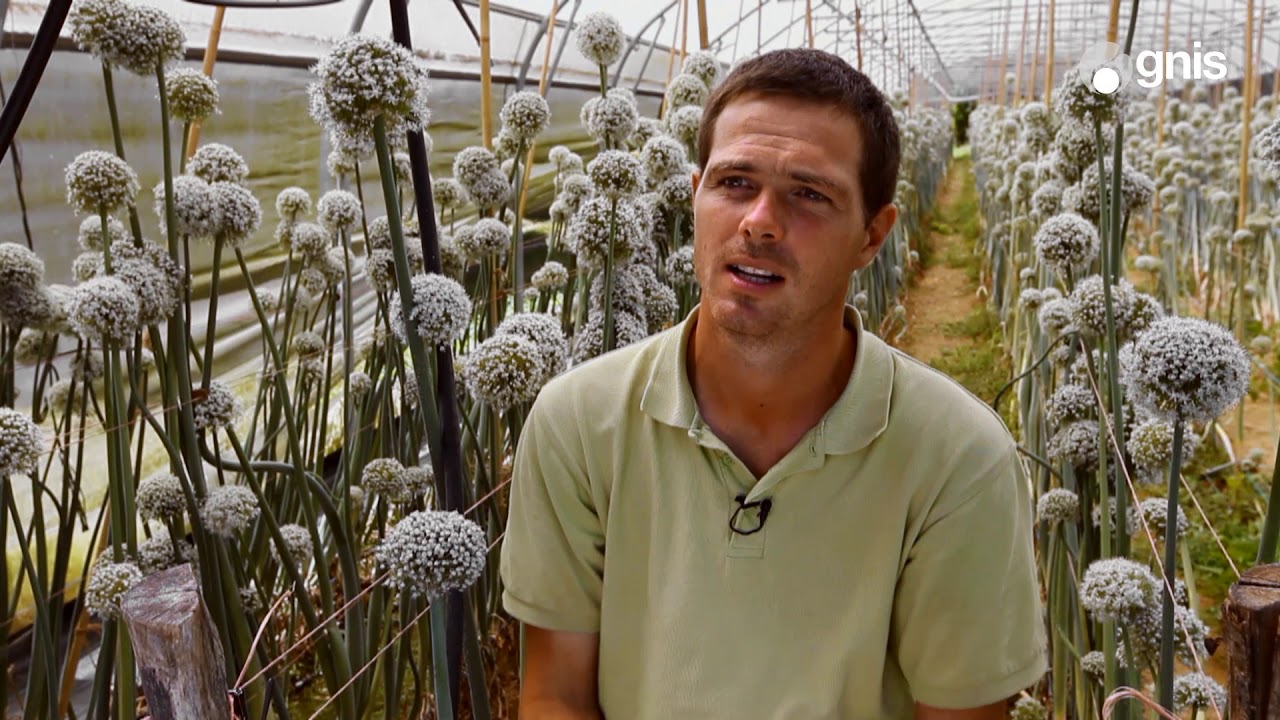 Lucien Laizé, agriculteur multiplicateur de semences présente son métier