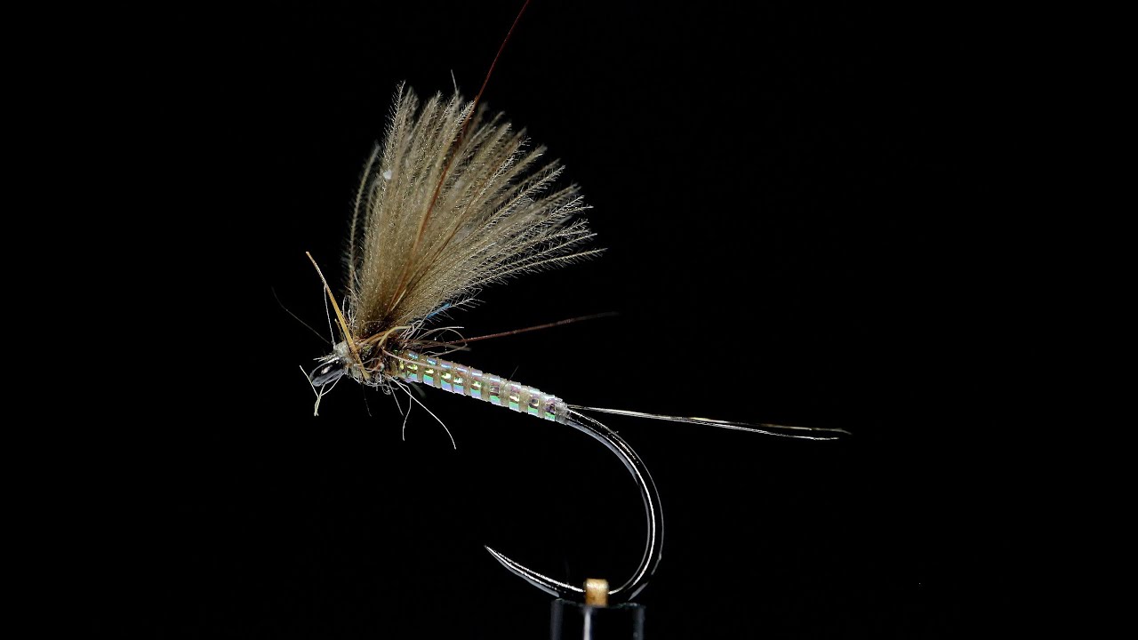 Pearl dun