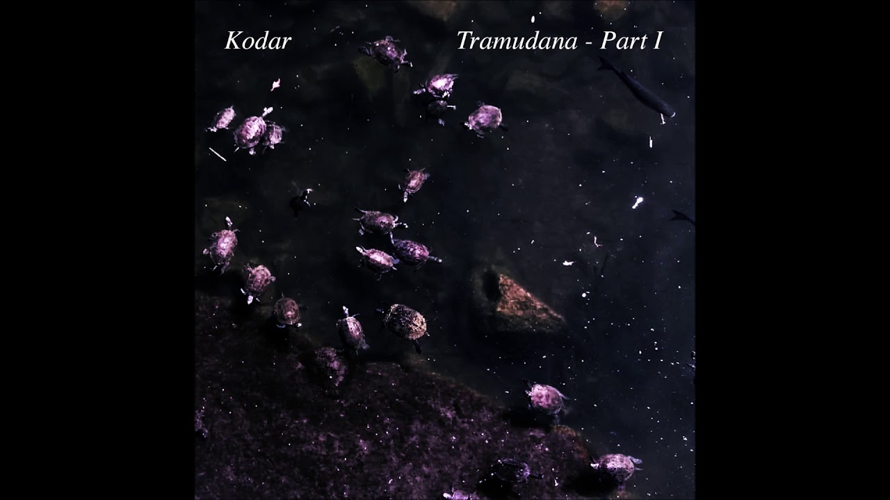 Kodar - You (And All That)
