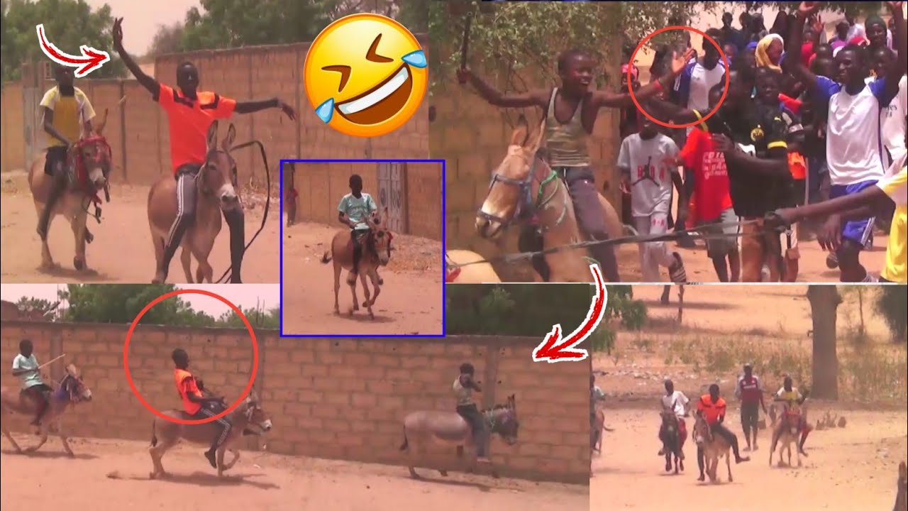 Da Bania dém 🤣 Ameth Ndiaye N°2 🤭 Mbam Ma dougou Na kareum ' journée culturelle à Kéré Ndaw