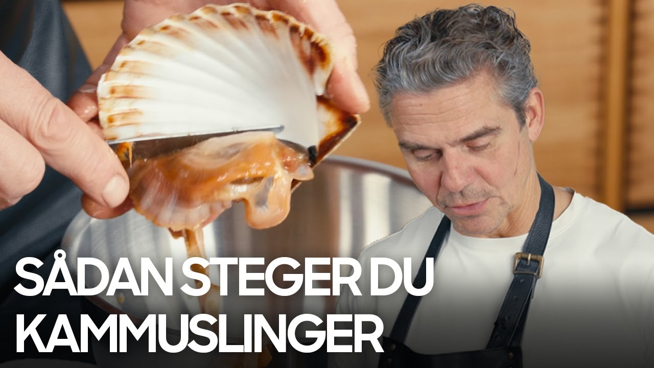Thomas Rode: Lynstegt kammusling med chili og rosmarin | Sådan håndterer og steger du kammuslinger