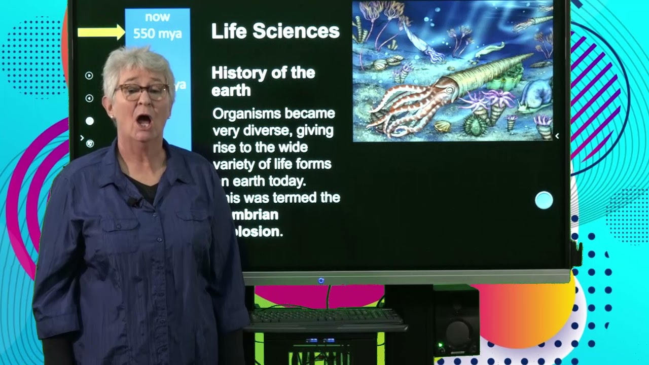 Life Sciences History Of Life Cambrian Explosion