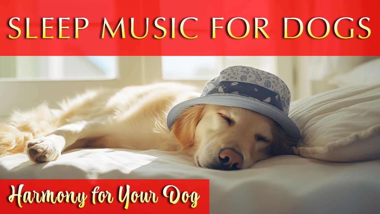 Dog Sleep Music 12 Hours 💤 🐾 Healing 417Hz Tuning