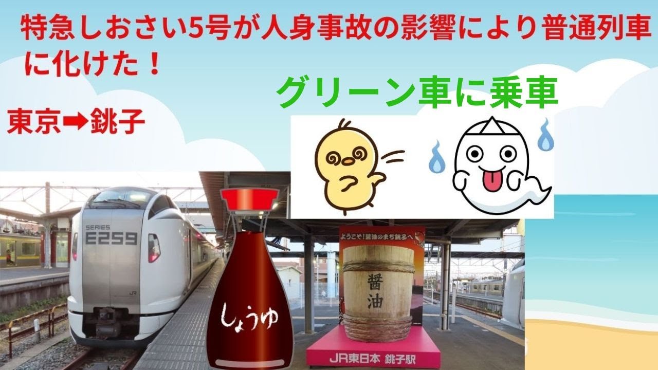 特急しおさい5号が人身事故の影響で成東駅から普通列車に変更となりました【東京➡銚子/グリーン車に乗車】アクピヨ休日旅