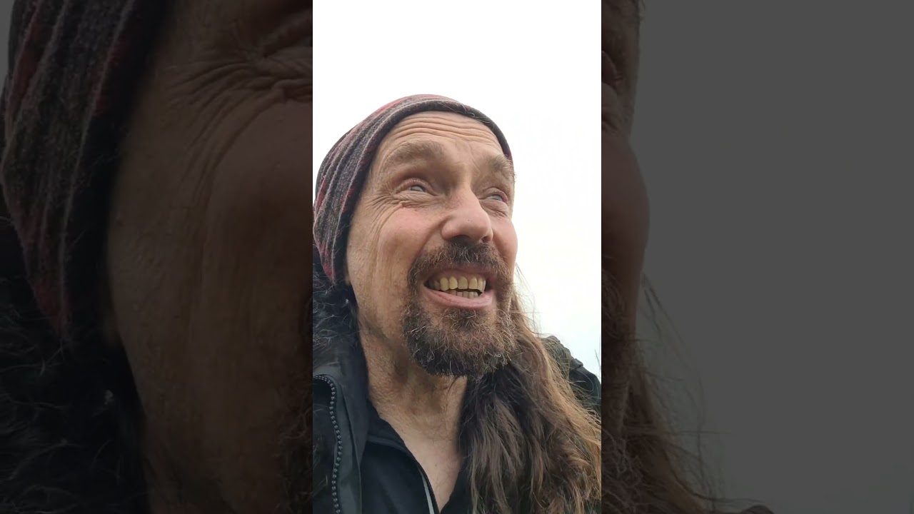 Ягоды терна, плоды терновника #дикорастущиерастения #кустарниковоеискусство #живаяизгородь