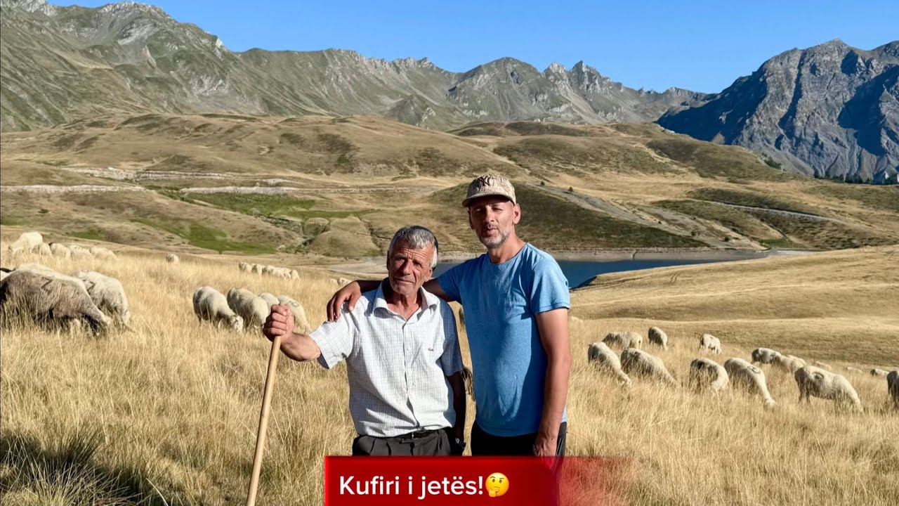 Nga Përballja me Ujqërit te Zbulimi i një Trupi – Jeta e një Bariu! 
