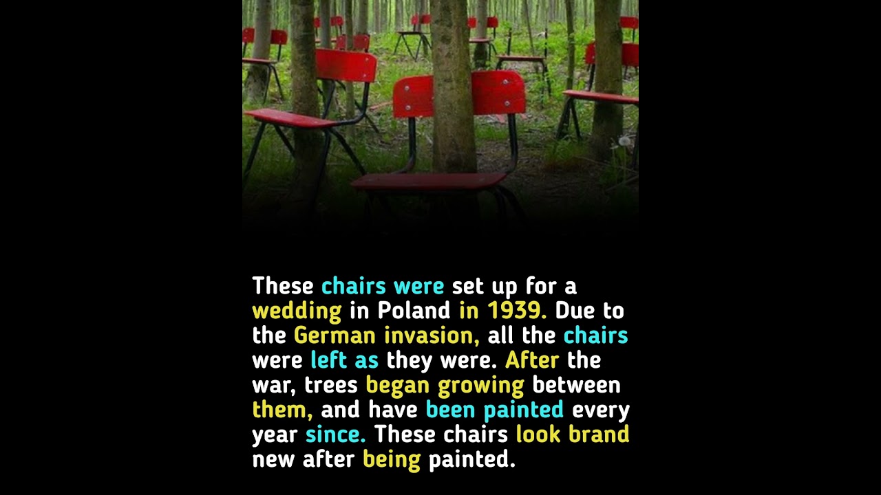 Echoes of Love and War: The Chairs That History Left Behind #chair #history