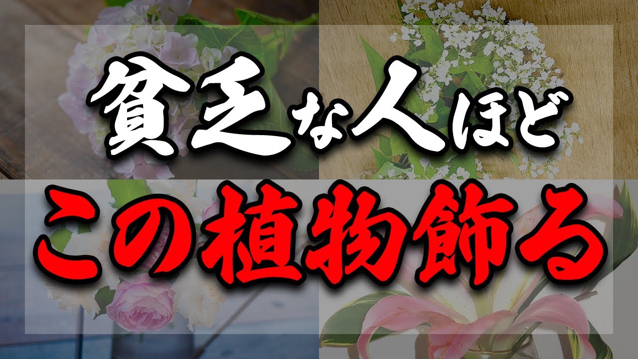 植物を家に飾っている人は絶対に見て！実はあなたの運気に悪影響を与えてしまっている植物についてお伝えします！