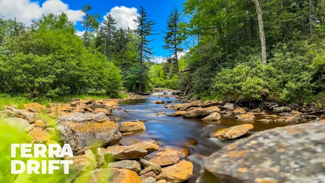 Dolly Sods and Beyond: Finding Adventure in West Virginia