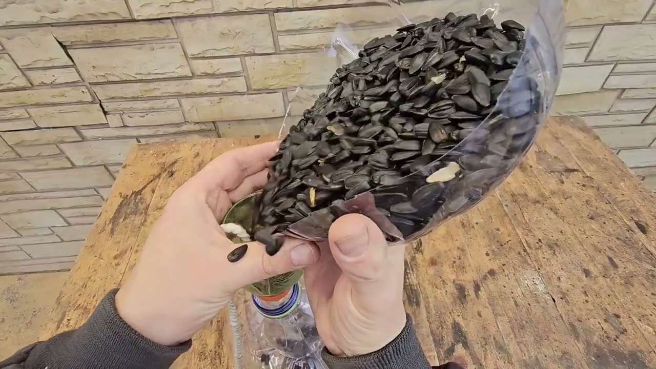Vogelfutterhäuschen selbst aus zwei Plastikflaschen basteln!