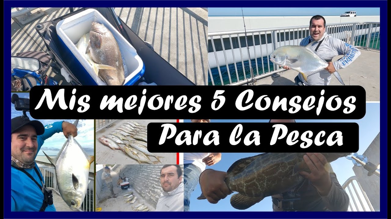 Pesca en puente: el secreto mejor guardado de Florida