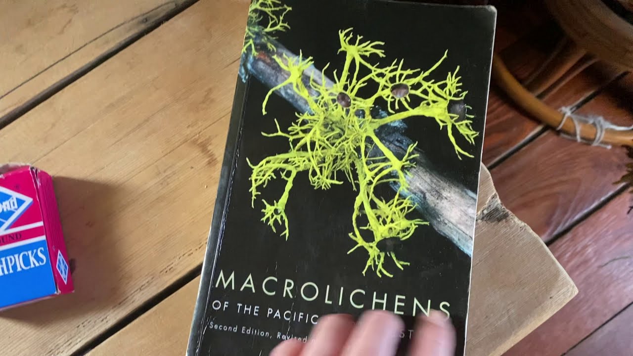 Lichen Identification Using Chemical Spot Testing