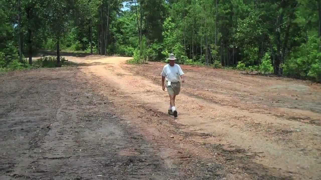 Planting Centipedegrass Seed in Alabama