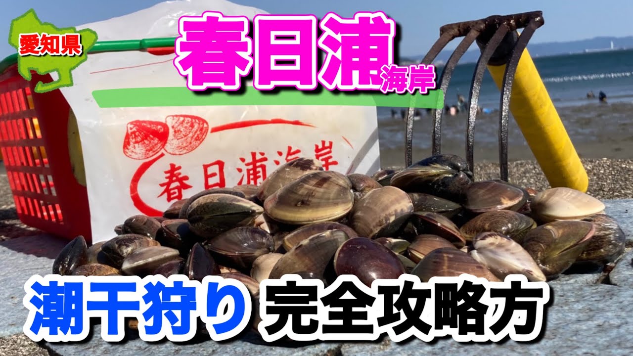 ハマグリがたくさん採れる場所はココです。