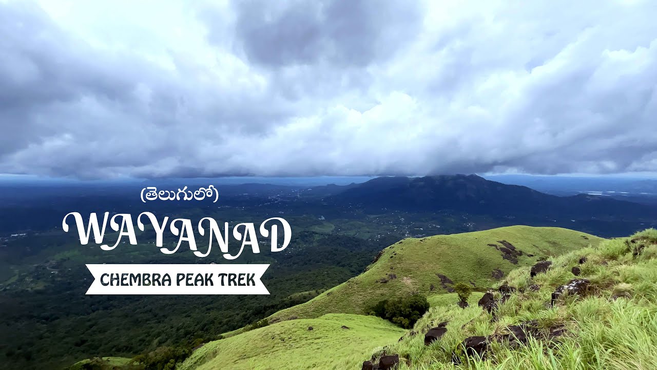 Wayanad - Chembra Peak Trek | Kerala | Telugu Travel Video | Episode 2