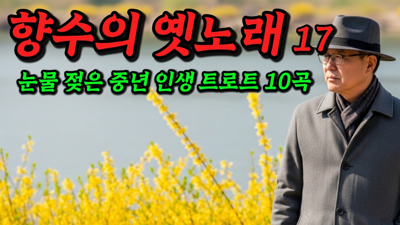 향수의 옛노래 17｜눈물 젖은 중년 인생 트로트 10곡
