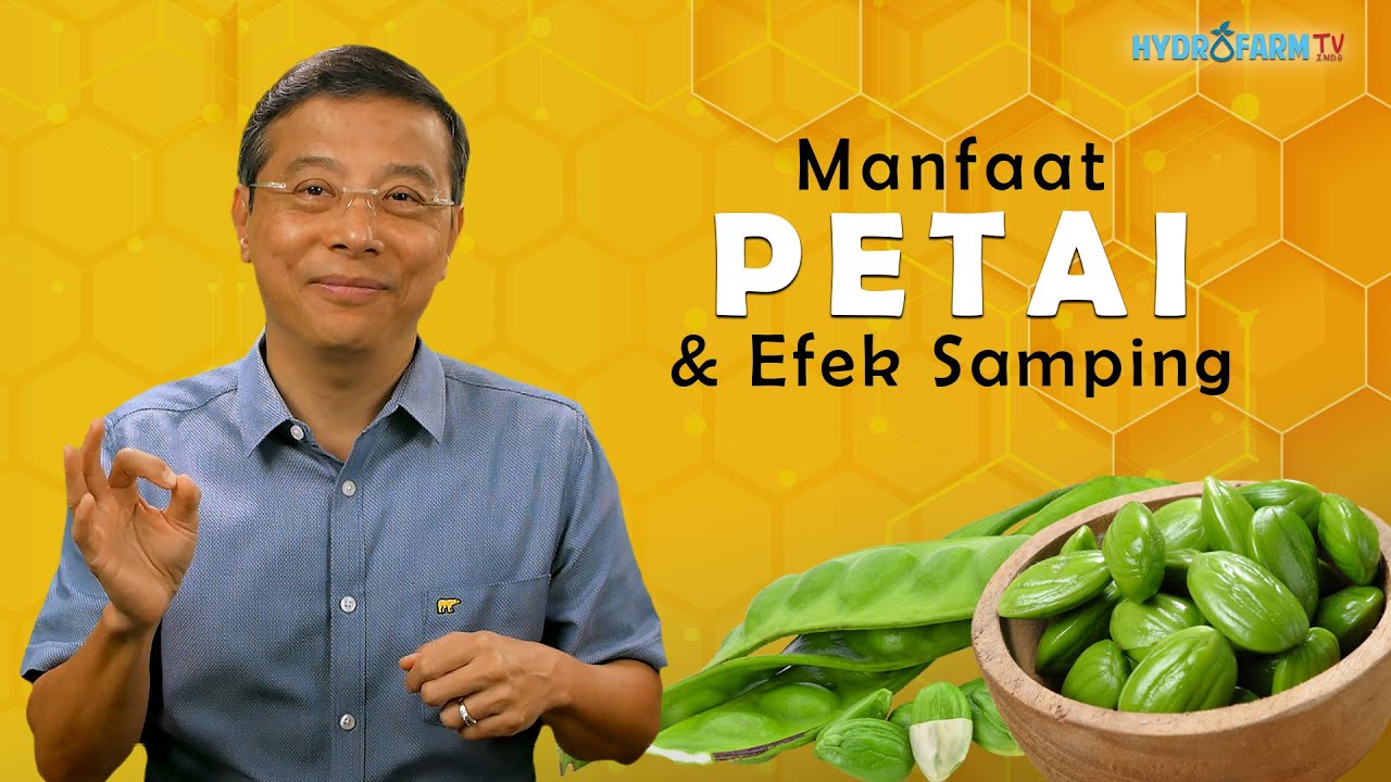Manfaat PETAI & Efek Sampingnya !!