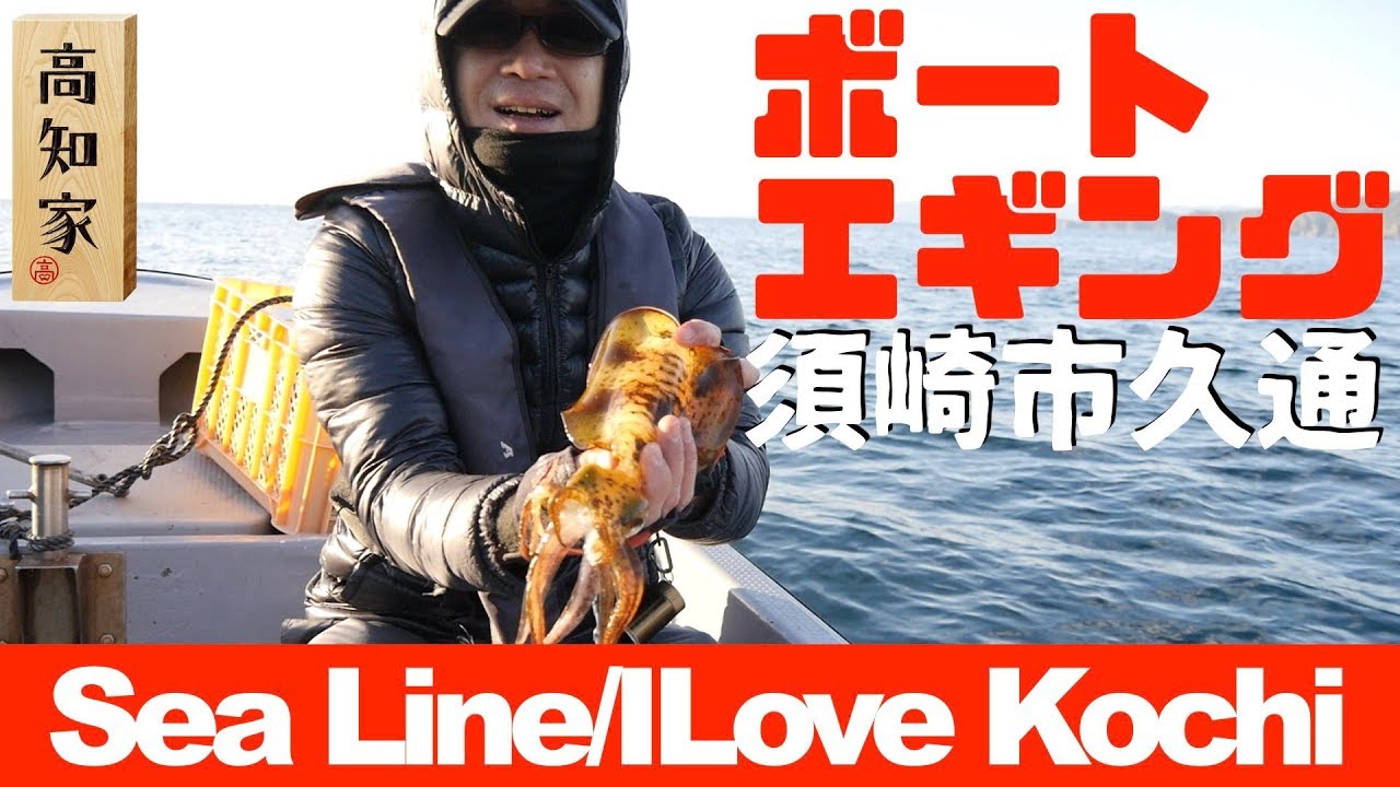 【高知県須崎市久通でボートエギング】またもや釣果はショボい＆かのちゃんのインスタグラム【シーライン釣果ノート30】Boat Egging