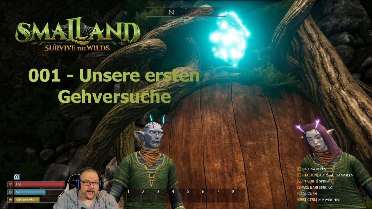Smalland - Unsere ersten Gehversuche 