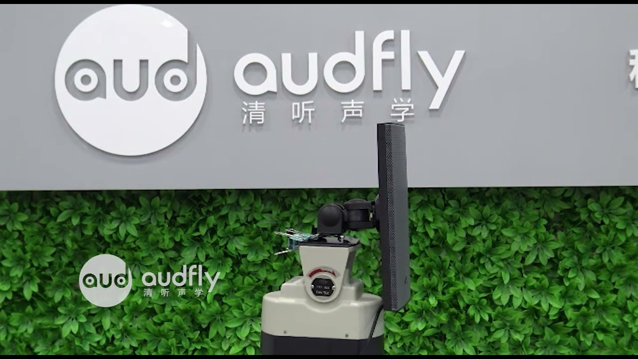 Audfly Directional Speaker B2 Display