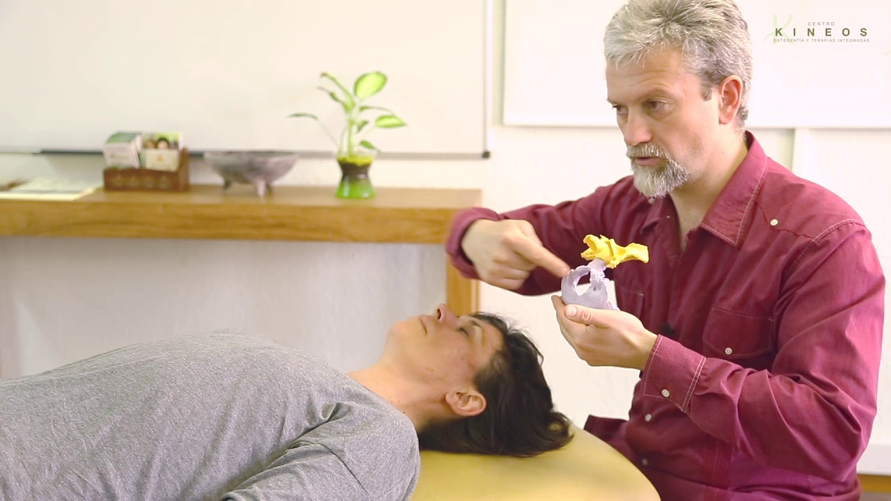 Osteopatía Craneosacral, técnica descompresión esfenobasilar