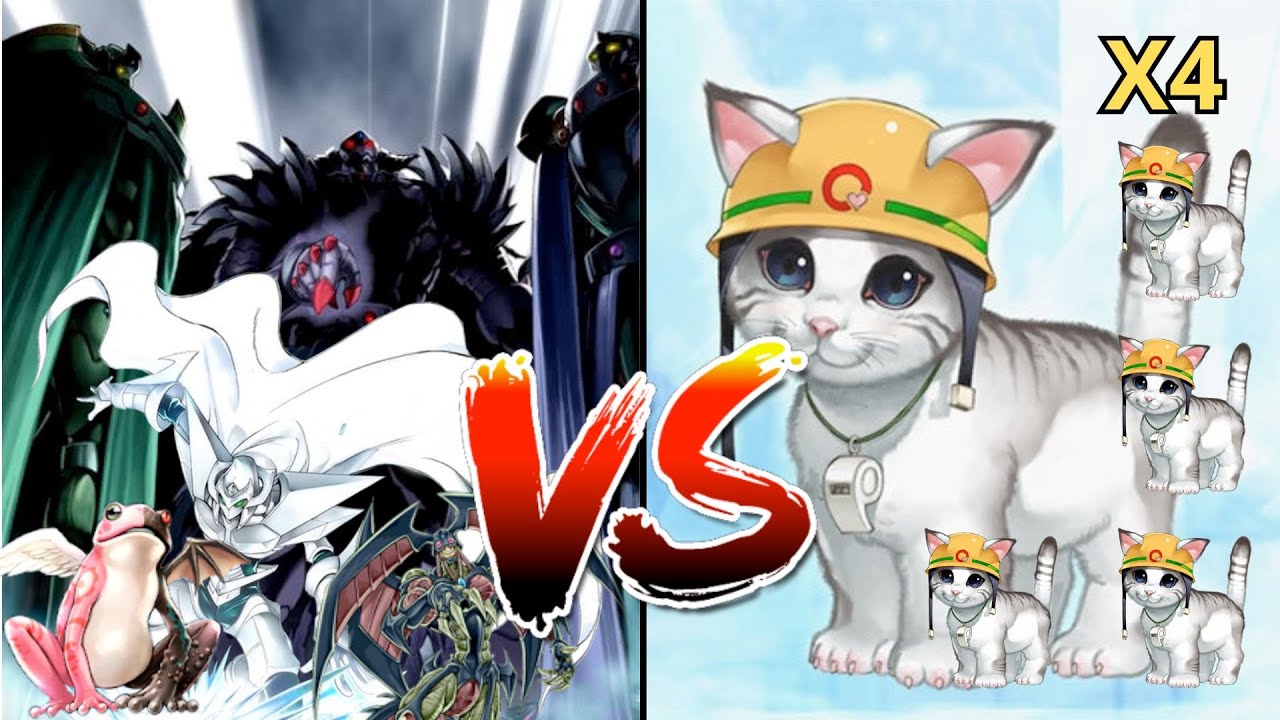 DB Rated Edison Match - Cat vs Hero Frog Monarch - He kept on topdecking rescue cat...