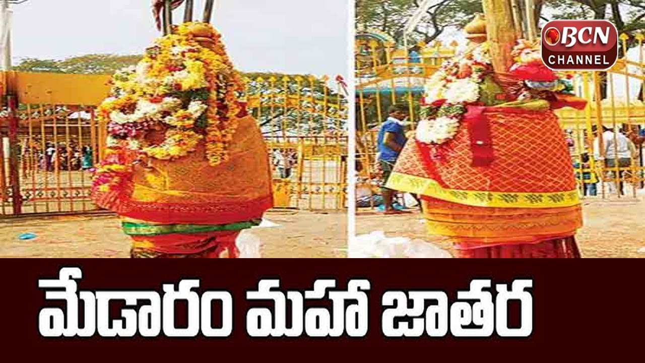 Telangana Medaaram Jathara Festival Highlights 2022 | #MedaaramJathara | Bcn Channel