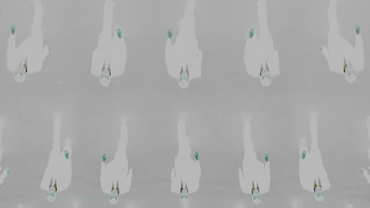 Forward Fox - 'Algorithm The Rhythm' (Official Video)