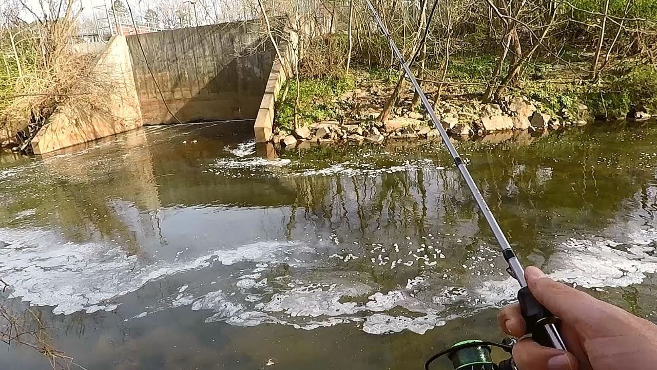 Exploring NEW Creek- ARE ANY FISH HERE!!