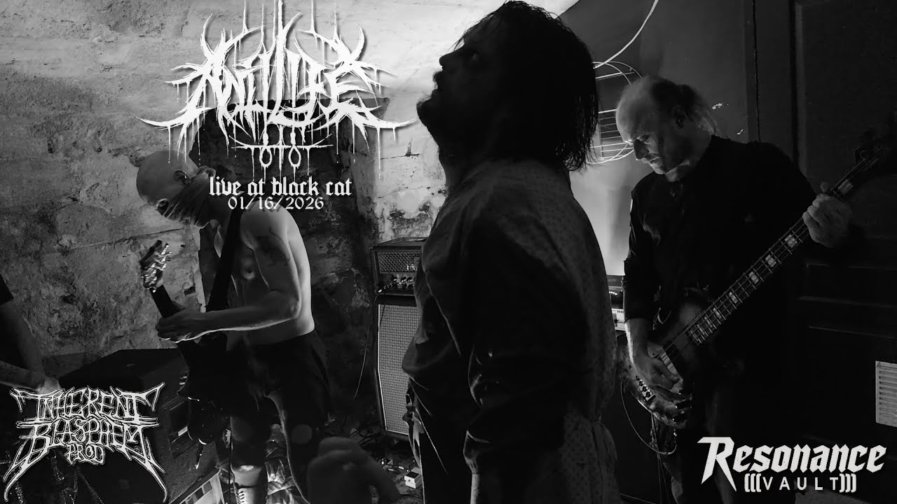 ANTILIFE - Black cat - 01/16/2026