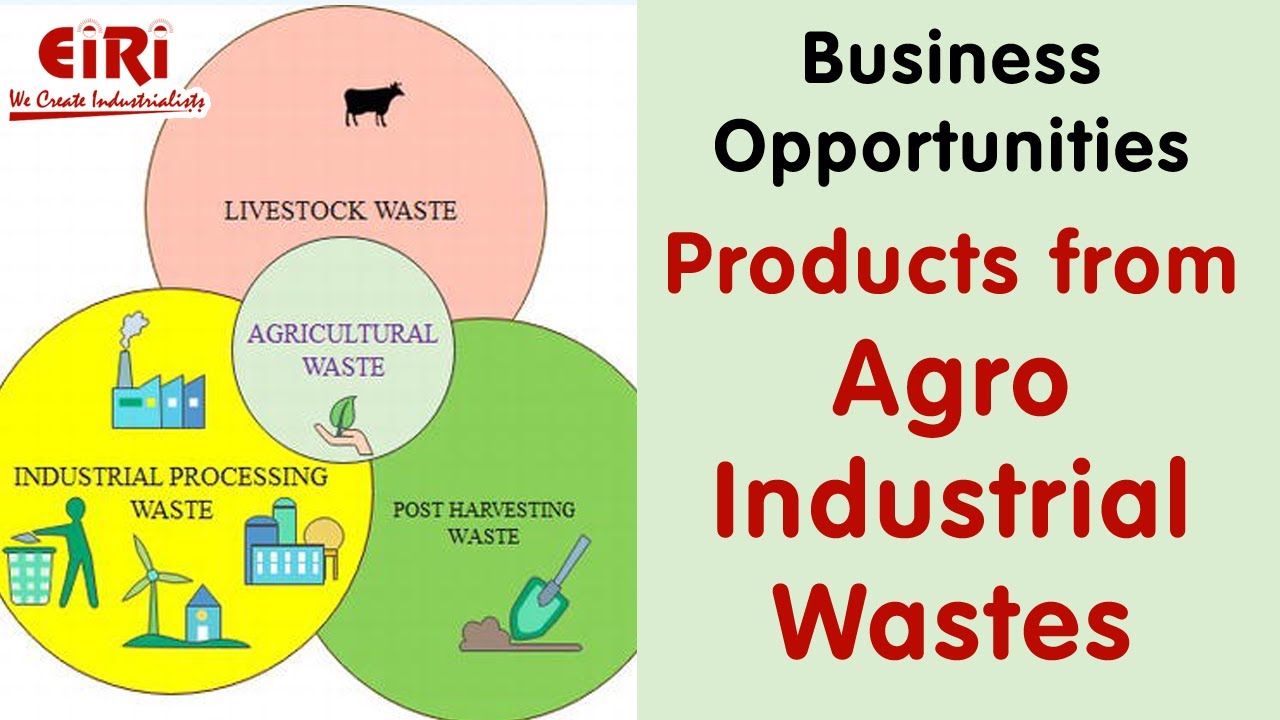 Products from Agro Industrial Wastes - Project Report - Waste Management
