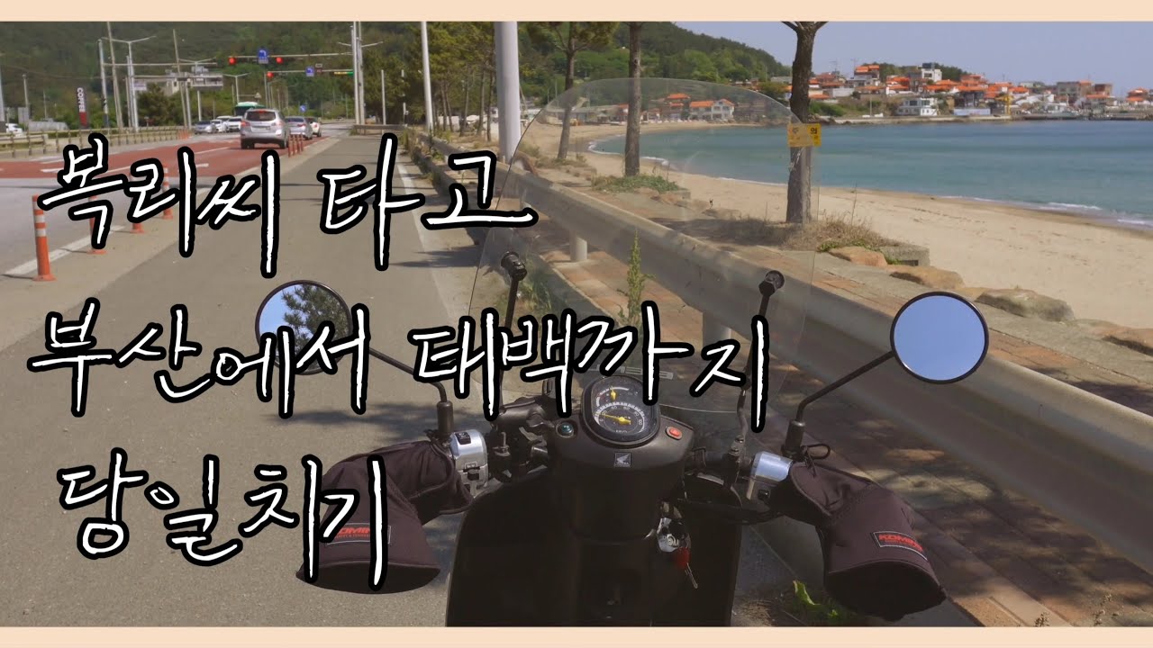 벤리타고 부산에서 태백😝 | 당일치기 | 110cc | 스쿠터 | 솔바리 | 장거리 성공